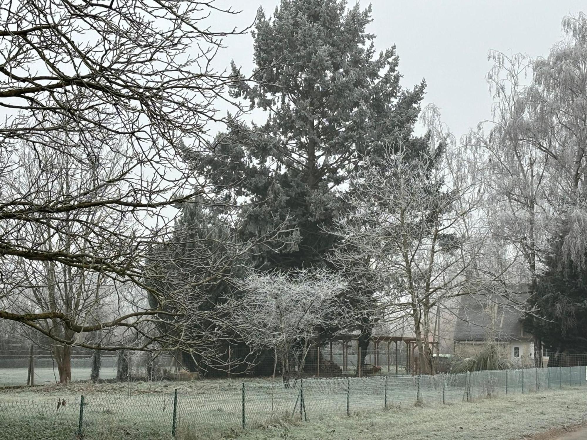 La Haute Tremiere Charenton-du-Cher Экстерьер фото